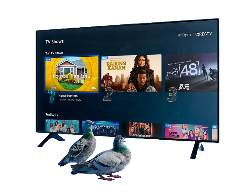 DIRECTV via Internet